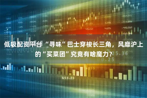 低吸配资平台 “寻味”巴士穿梭长三角，风靡沪上的“买菜团”究竟有啥魔力？