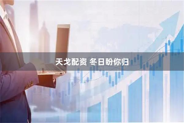 天戈配资 冬日盼你归