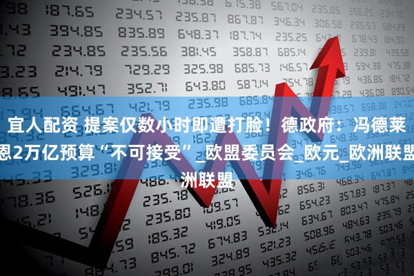 宜人配资 提案仅数小时即遭打脸！德政府：冯德莱恩2万亿预算“不可接受”_欧盟委员会_欧元_欧洲联盟